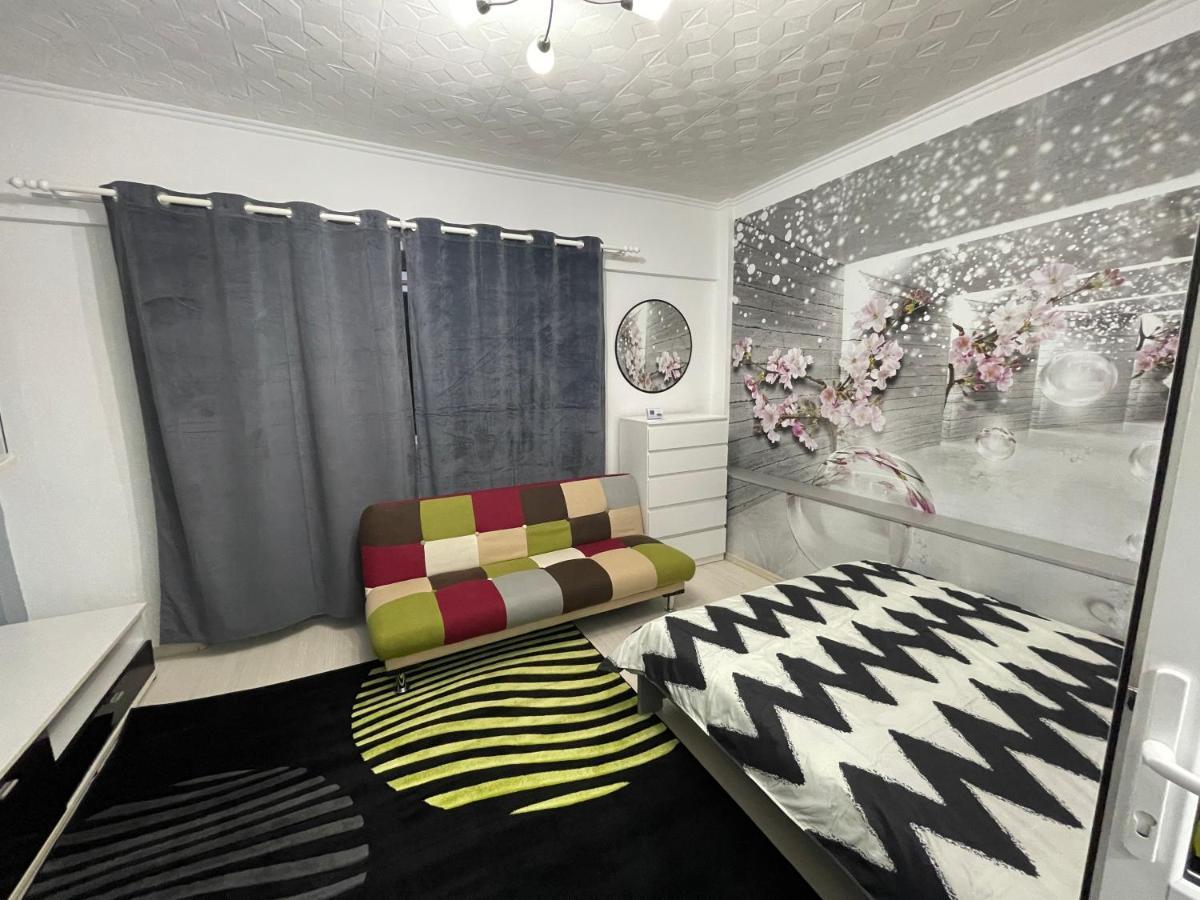 Central Colors Studio Petrosani Exterior photo